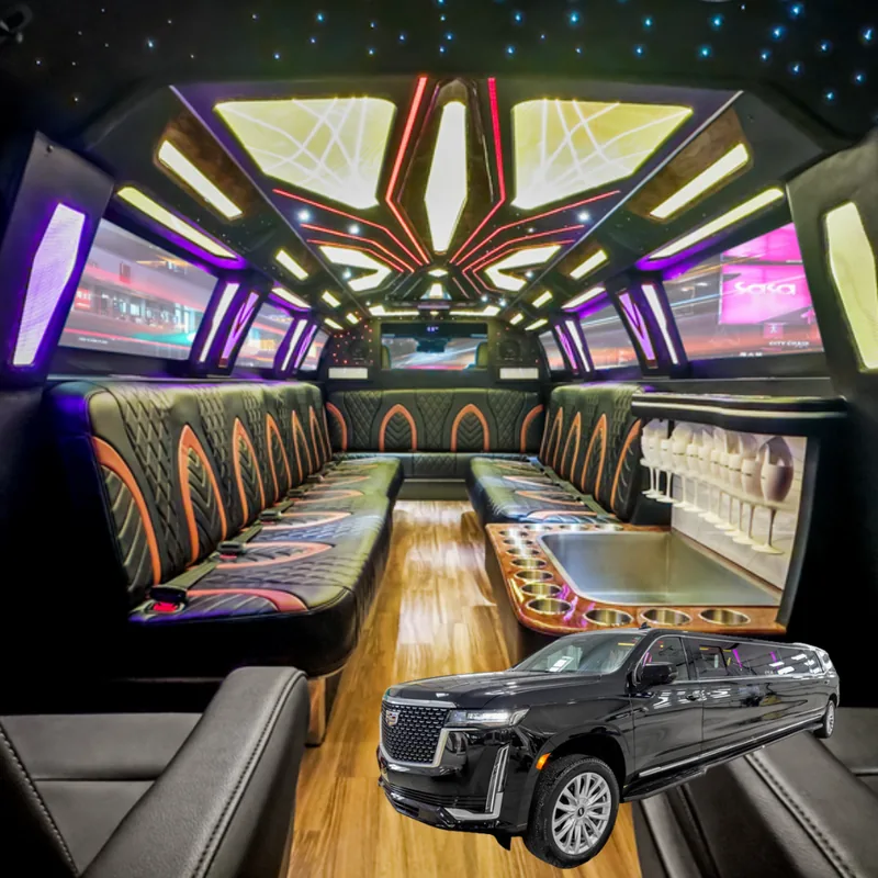 20 Pax Limo