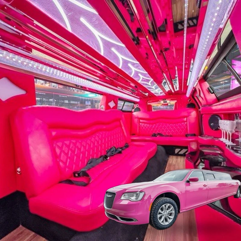 10 Pax Pink Limo