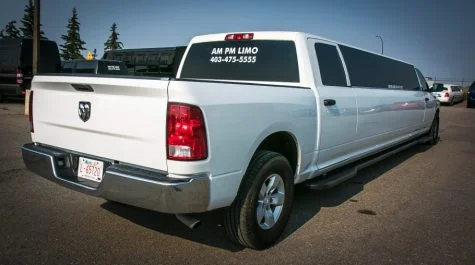 image of 16 passenger Dodge Ram stretched limousine interior from rear passenger side bench