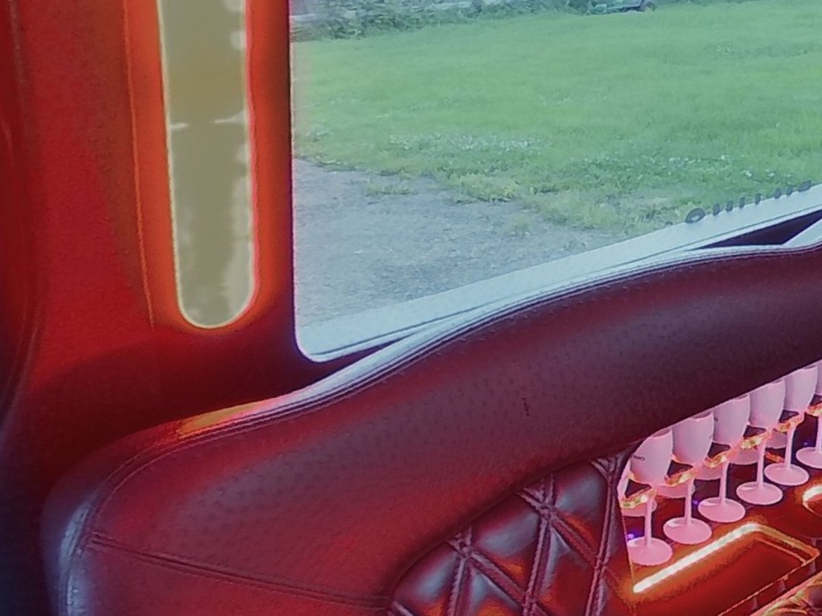 image of 16 passenger Mercedes mini party bus